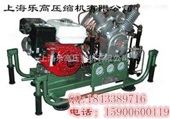 小型高压充填泵【上海乐高压缩机51074658】