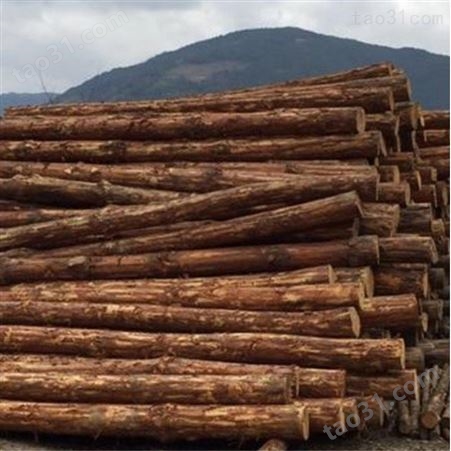 北京杉木桩施工 上海杉木桩图片 胜洁木业