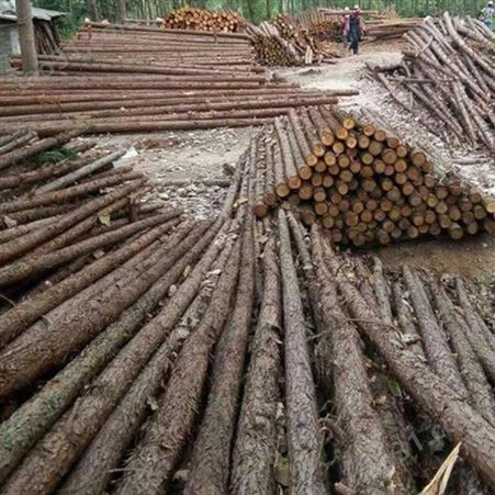防汛杉木桩出售 盐城杉木桩直径 胜洁木业
