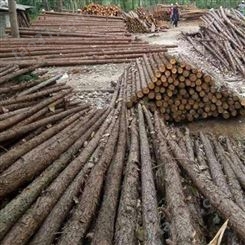 2米杉木桩图片 防洪杉木桩出售 胜洁木业