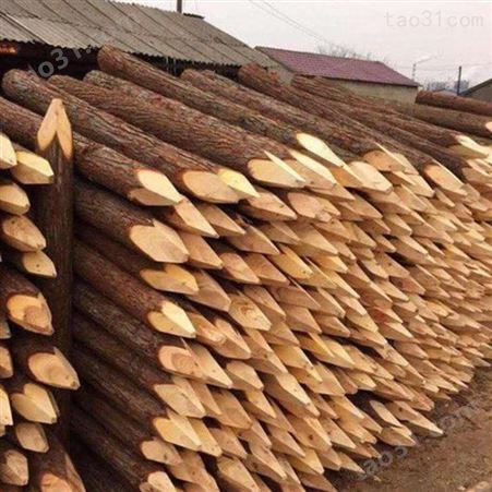 绿化杉木桩出售 胜洁木业 园林绿化杉木桩护岸