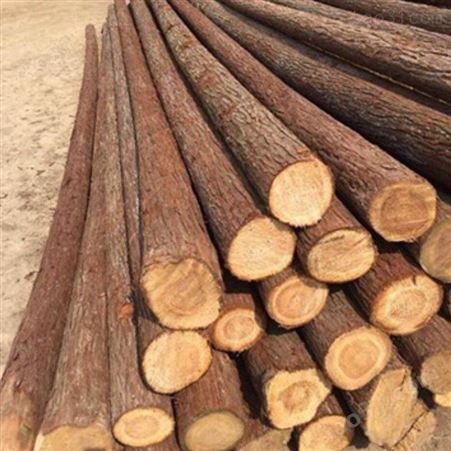 景观杉木桩护岸 泰州杉木桩图片 胜洁木业