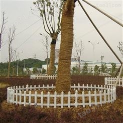 【冀林】生产草坪护栏 批发PVC围栏 园林绿化带草坪护栏价格