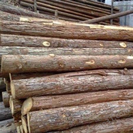 无锡杉木桩尺寸 胜洁木业 2米杉木桩批发