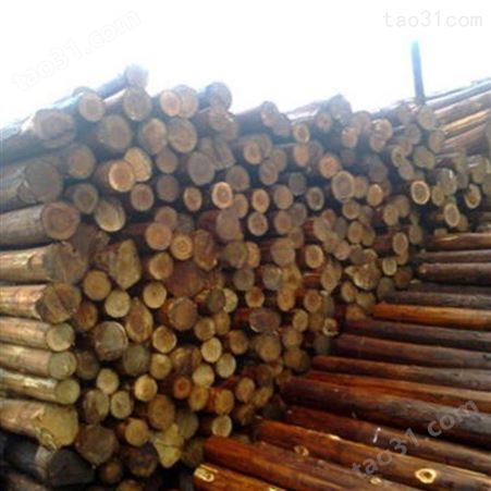 无锡杉木桩尺寸 胜洁木业 2米杉木桩批发