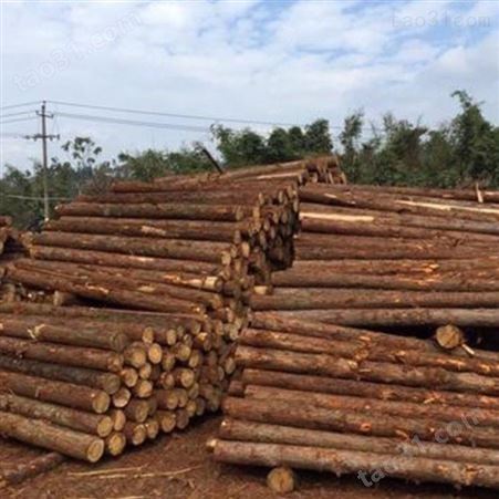 胜洁木业 园林绿化杉木桩施工 无锡杉木桩施工