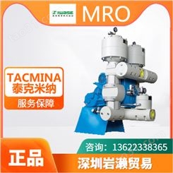 日本大型电动计量泵ER521S 泰克米纳TACMINA品牌
