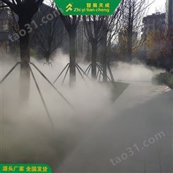 鞍山道路雾森景观系统方案设计 别墅造雾机 智易天成
