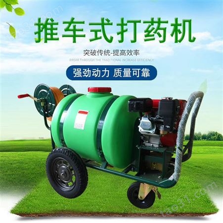 小区绿化汽油推车打药机 高压地面清洗机 160升药桶移动方便