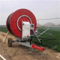 小麦浇水灌溉机 多功能卷盘式排灌机 大棚菜园自走式喷灌机