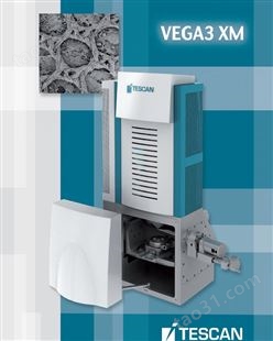 TESCAN 热丝发射扫描电子显微镜-VEGA3