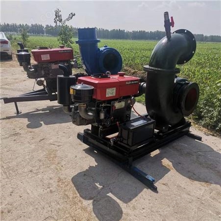 12寸大流量农用浇地灌溉泵 高扬程农用灌溉抽水泵 抗洪排涝设备