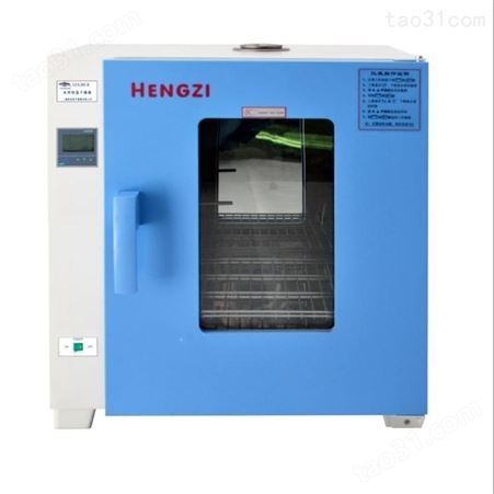 新诺仪器 HGZF-101-0 电热鼓风干燥箱 恒温烤箱 不锈钢烘箱