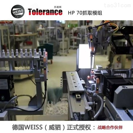 取料放料机械手 德国weiss HP电机轴模组