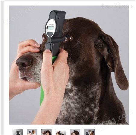便携式动物 回弹式兽用   进口tonolab兽医眼压测量仪   icare tonovet 宠物眼压仪