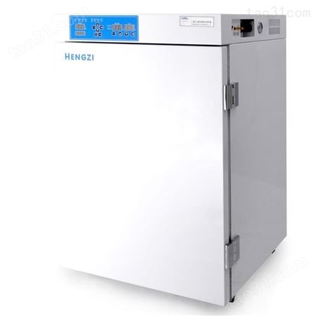 上海新诺 HGZN-270 电子老化实验箱 恒温干燥箱 工业烘干机