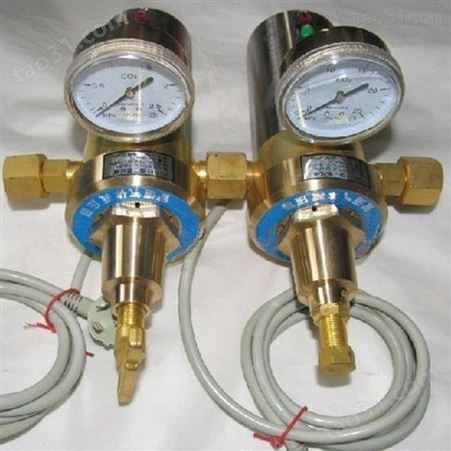 YQT-11双节双表CO2电加热减压器 管道减压器 二氧汇流排减压阀