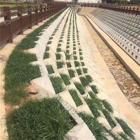 生态护坡砖模具植草式护坡模具河道阶梯护坡模具实体厂家