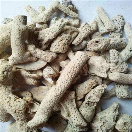 乾富供应珊瑚骨 水族过滤材料珊瑚石 调节水质