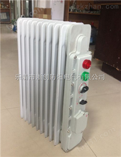 BDR-1.5/9YR防爆电热油汀取暖器
