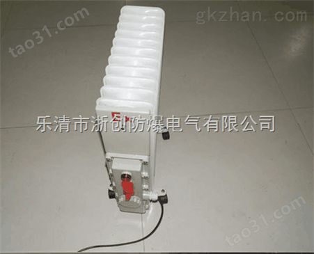 BDR-1.5/9YR防爆电热油汀取暖器