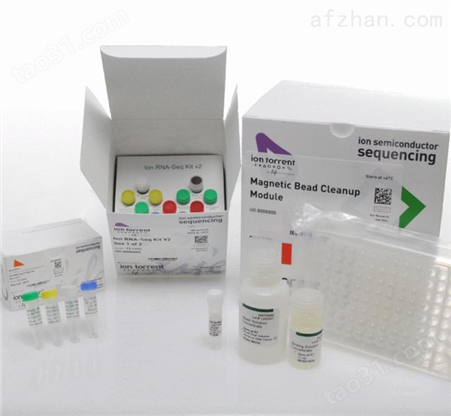 山羊白介素18（IL18）ELISA试剂盒