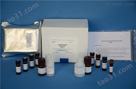 大鼠Ⅰ型胶原（COL1）ELISA试剂盒
