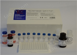人细胞毒性T-淋巴细胞关联抗原4（CTLA4）ELISA试剂盒