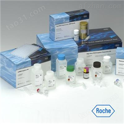 人胎盘胶原凝集素1（CLP1）ELISA试剂盒